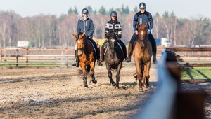 Horse riding nearby